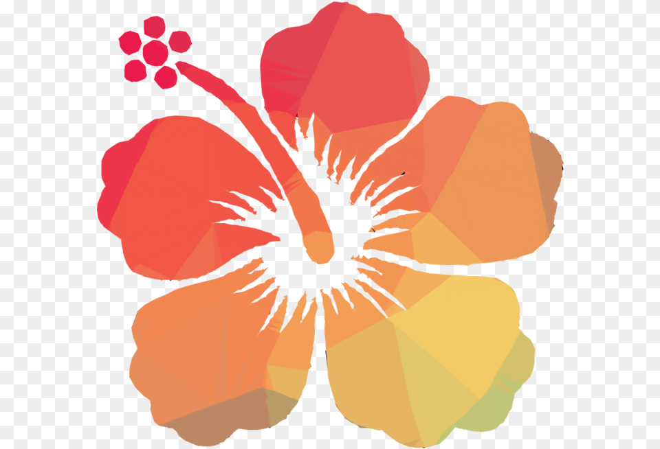 Transparent Hibiscus Clipart Flor De Cayena Vector, Flower, Plant, Person, Face Free Png