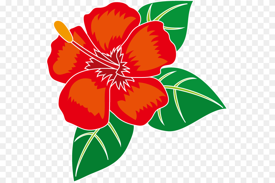 Transparent Hibiscus Flower Clipart, Plant, Dynamite, Weapon Free Png