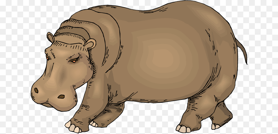 Transparent Hippopotamus Clipart Hippo Clipart, Person, Animal, Mammal, Wildlife Free Png