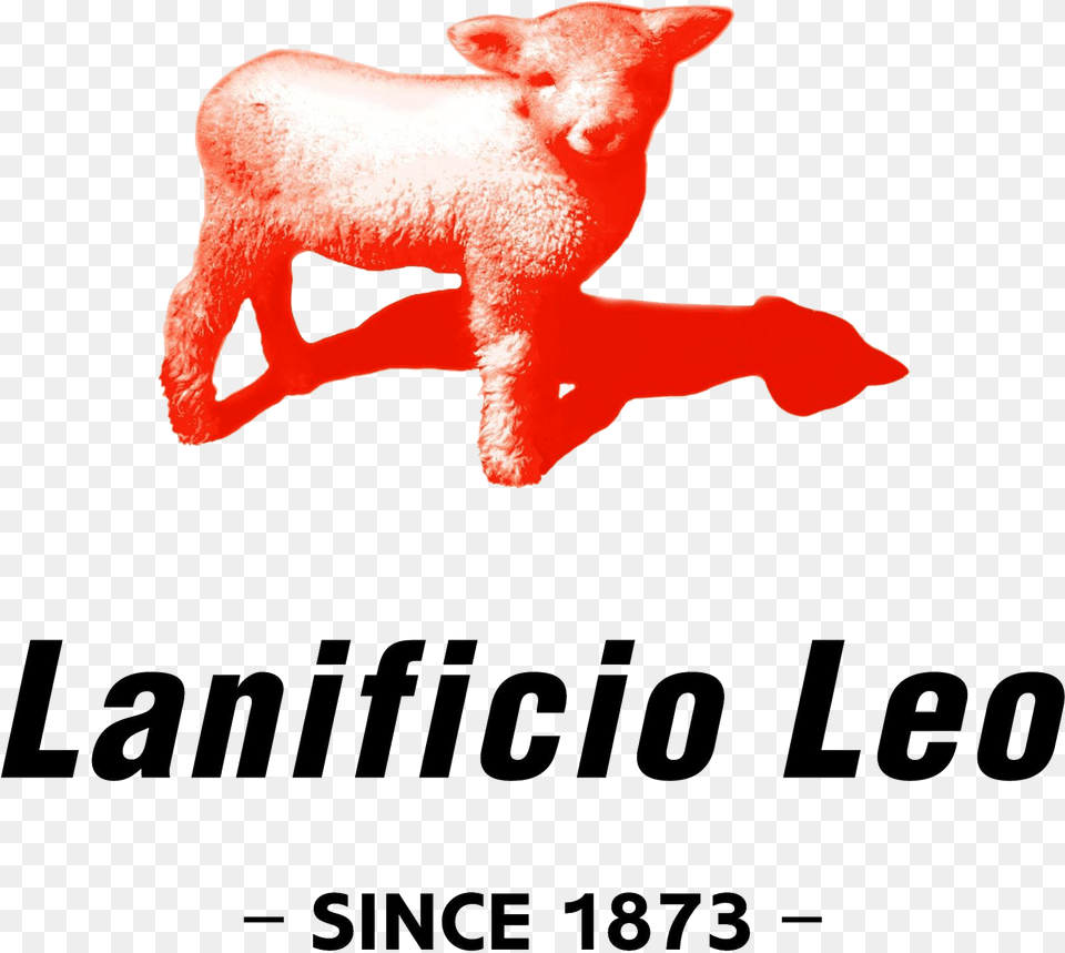 Transparent Hitler Moustache Lanificio Leo, Animal, Mammal, Pig, Livestock Free Png Download