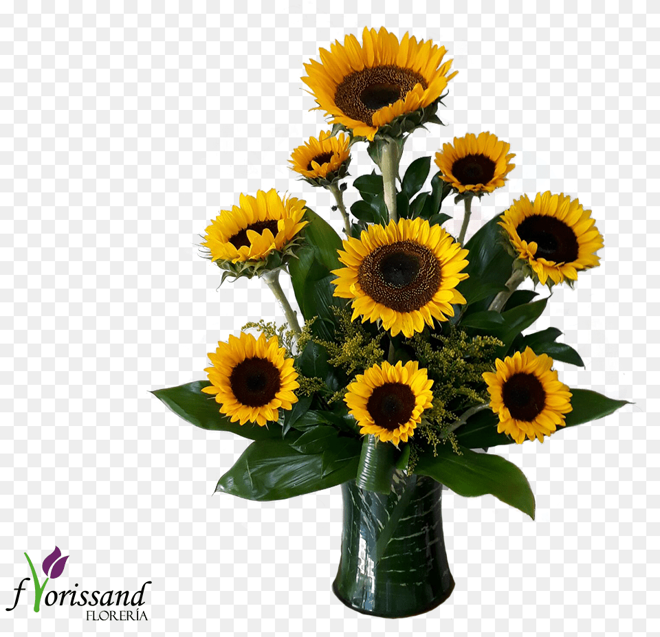 Transparent Hojas Verdes Sunflower, Flower, Flower Arrangement, Flower Bouquet, Plant Png Image