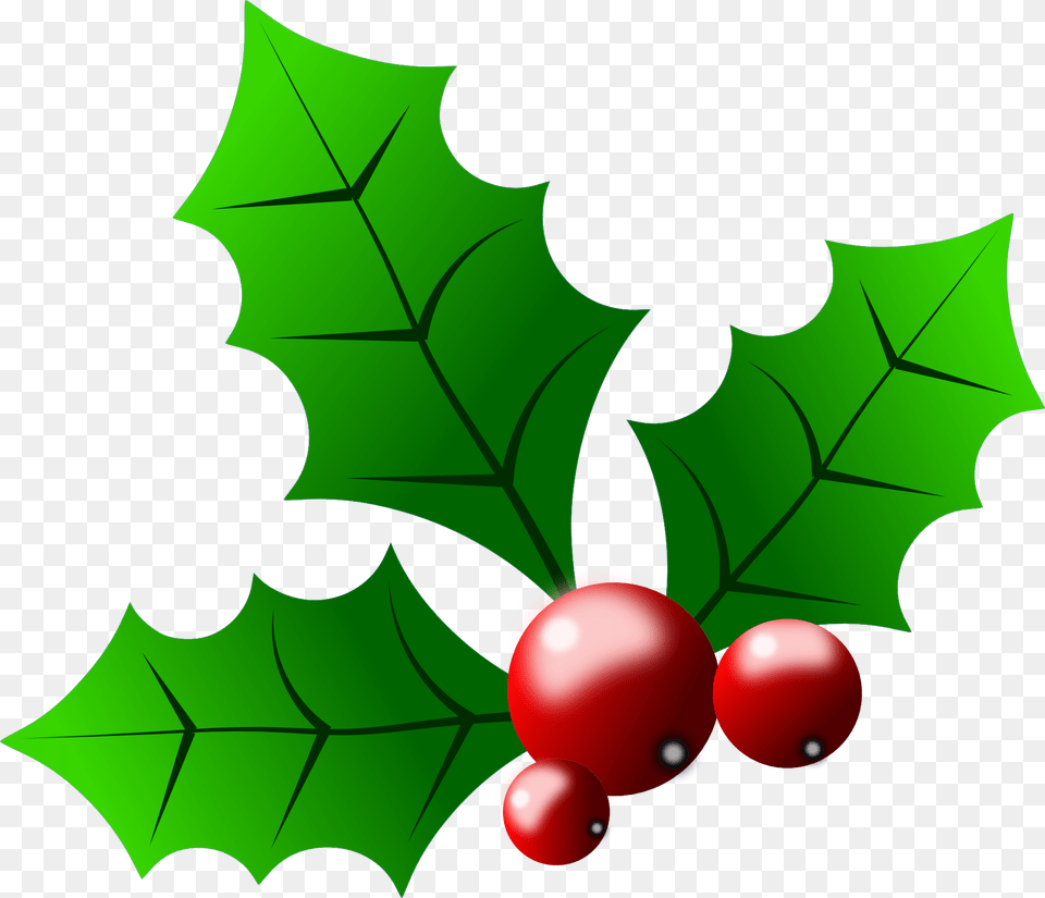 Transparent Holly Clipart, Leaf, Plant, Food, Fruit Free Png