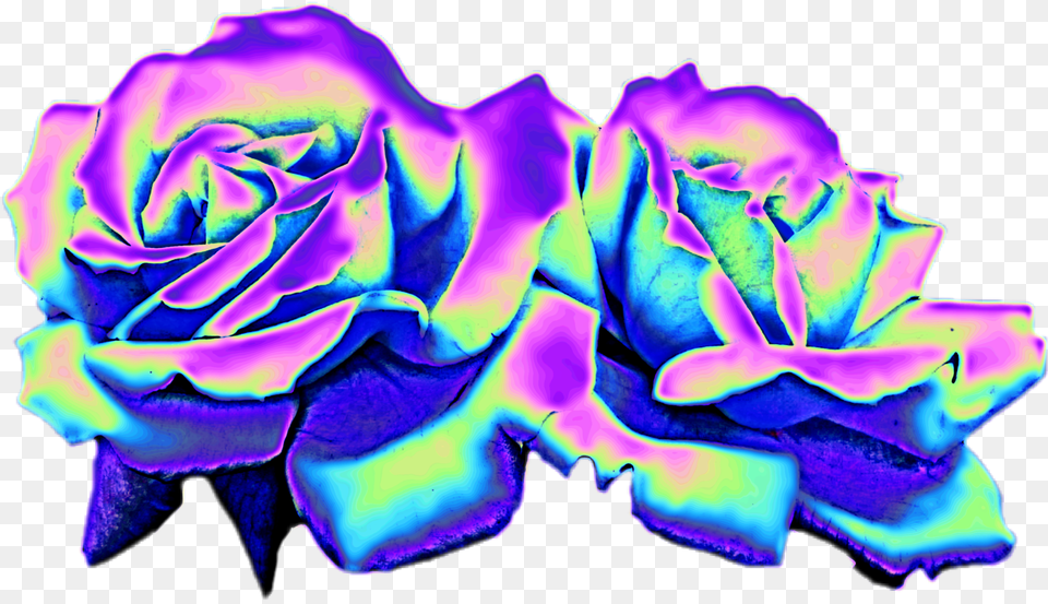 Transparent Holographic Roses Free Png Download