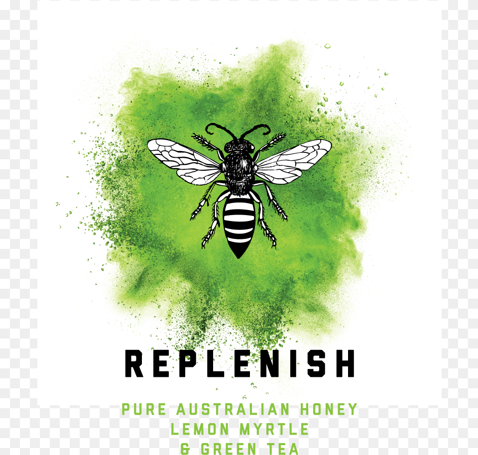 Transparent Honey Bee Green Color Blast, Animal, Insect, Invertebrate, Wasp Free Png