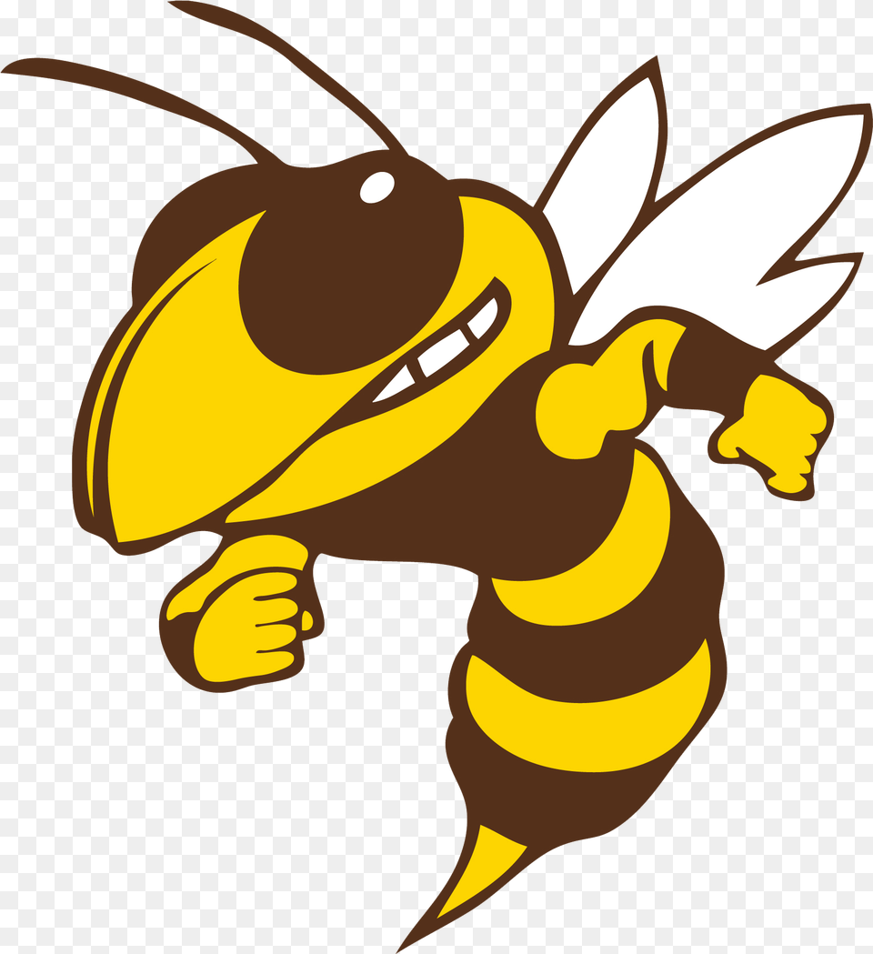 Transparent Hornets Logo Calhoun Yellow Jackets, Animal, Bee, Honey Bee, Insect Png Image