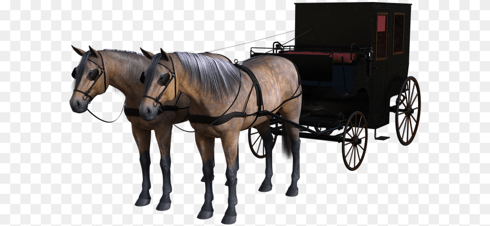 Transparent Horse And Carriage Horse And Carriage, Animal, Mammal, Transportation, Vehicle Free Png