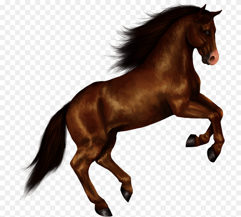 Transparent Horse Clipart Transparent Background Horse, Animal, Colt Horse, Mammal, Stallion Free Png Download