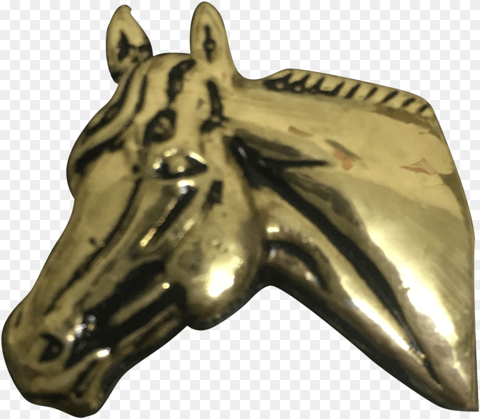 Transparent Horse Head Marine Invertebrates, Bronze, Figurine, Person Free Png