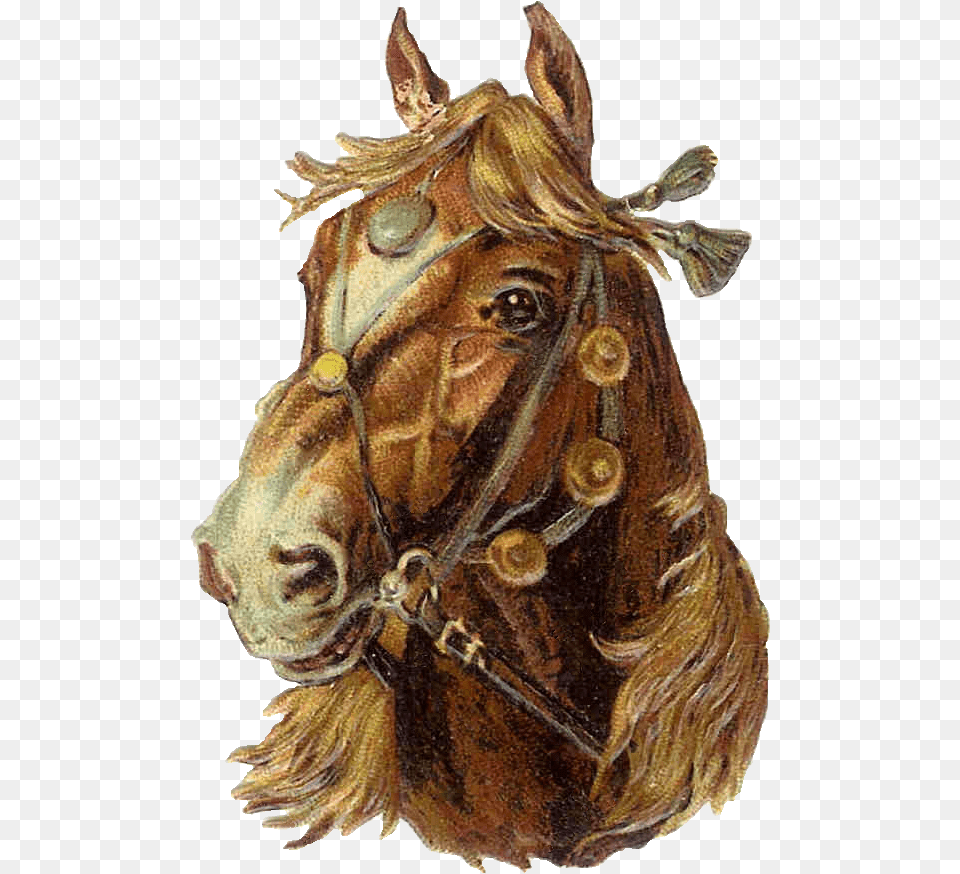 Transparent Horse Horse Clip Art, Animal, Mammal, Person Png