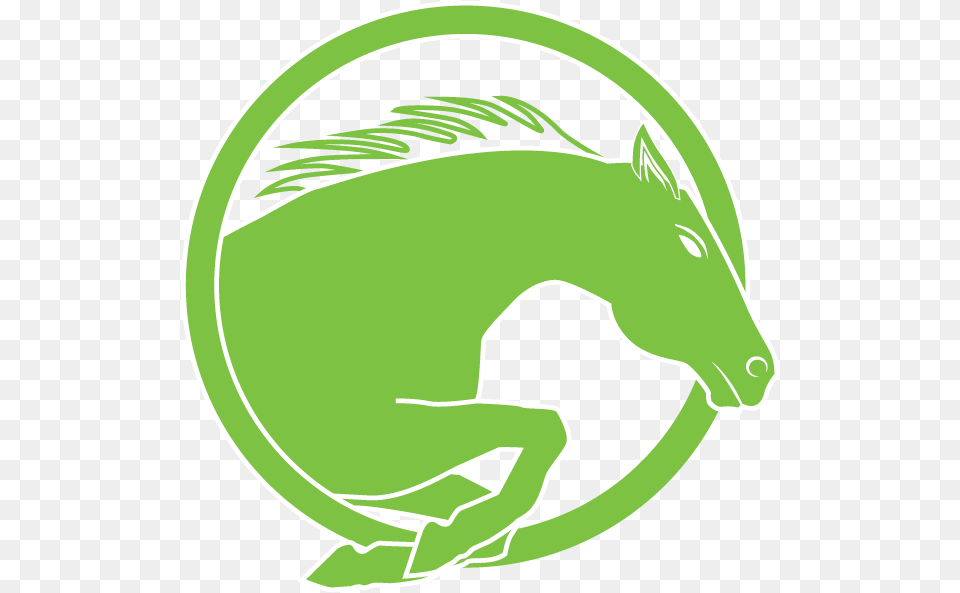 Transparent Horse Icon Stallion, Green, Animal, Mammal, Clothing Free Png