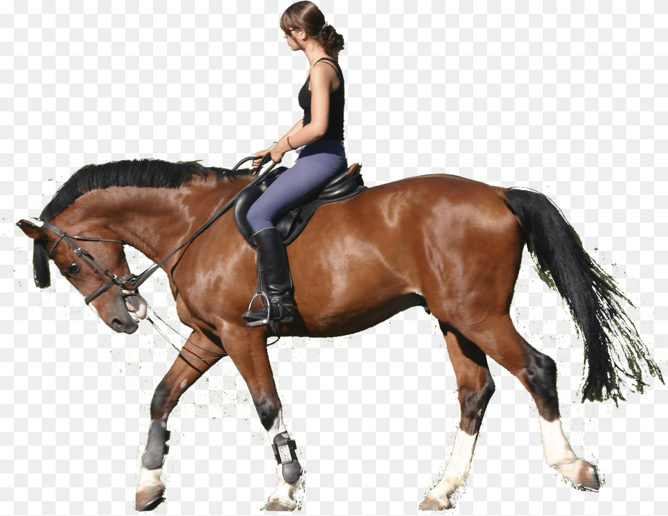 Horse Jumping Clipart Horse Riding, Adult, Person, Woman, Female Free Transparent Png