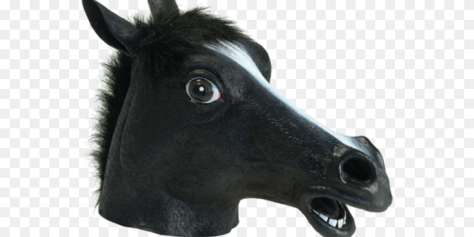 Transparent Horse Mask Horse, Animal, Colt Horse, Mammal, Fish Png Image