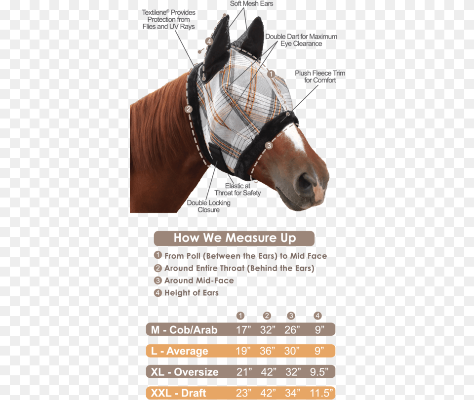 Transparent Horse Mask Measure A Horse For A Fly Mask, Animal, Mammal, Halter Free Png
