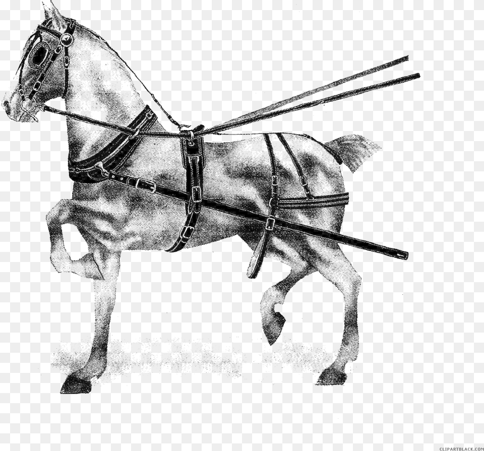Horse Racing Clipart Stallion, Animal, Mammal Free Transparent Png