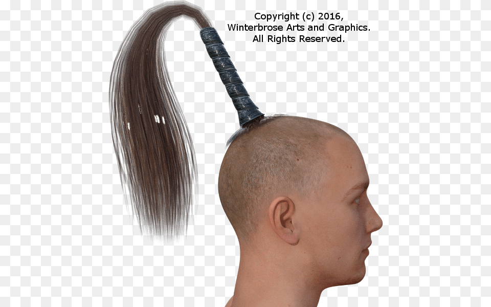 Transparent Horse Tail Man Horse Tail Hair, Person, Adult, Female, Woman Free Png