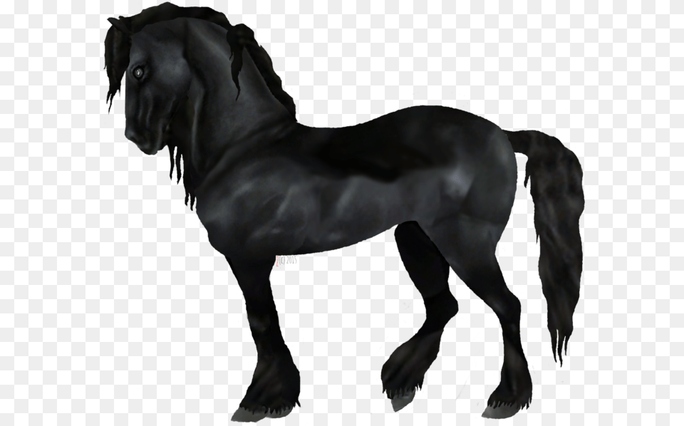 Transparent Horses Friesian Star Stable Horse Transparent, Animal, Mammal, Canine, Pet Png