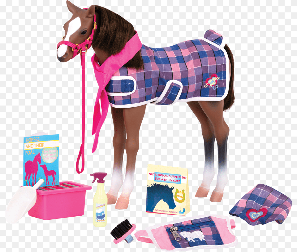 Transparent Horses Our Generation Quarter Foal, Adult, Female, Person, Woman Png Image