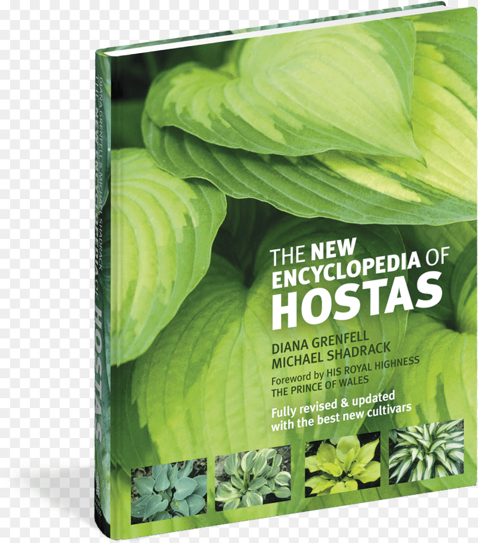 Transparent Hosta The New Encyclopedia Of Hostas, Advertisement, Herbal, Herbs, Leaf Png Image