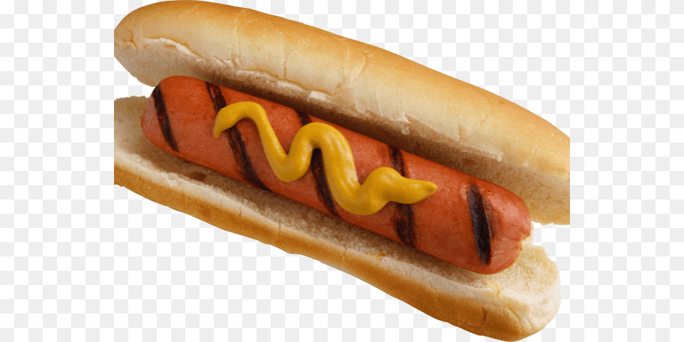 Transparent Hot Dogs Clipart Hot Dog And Beer, Food, Hot Dog Free Png Download
