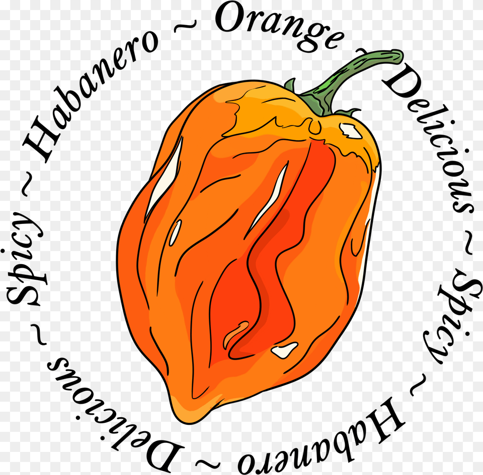 Transparent Hot Pepper Clipart Pumpkin, Food, Produce, Plant, Vegetable Free Png Download