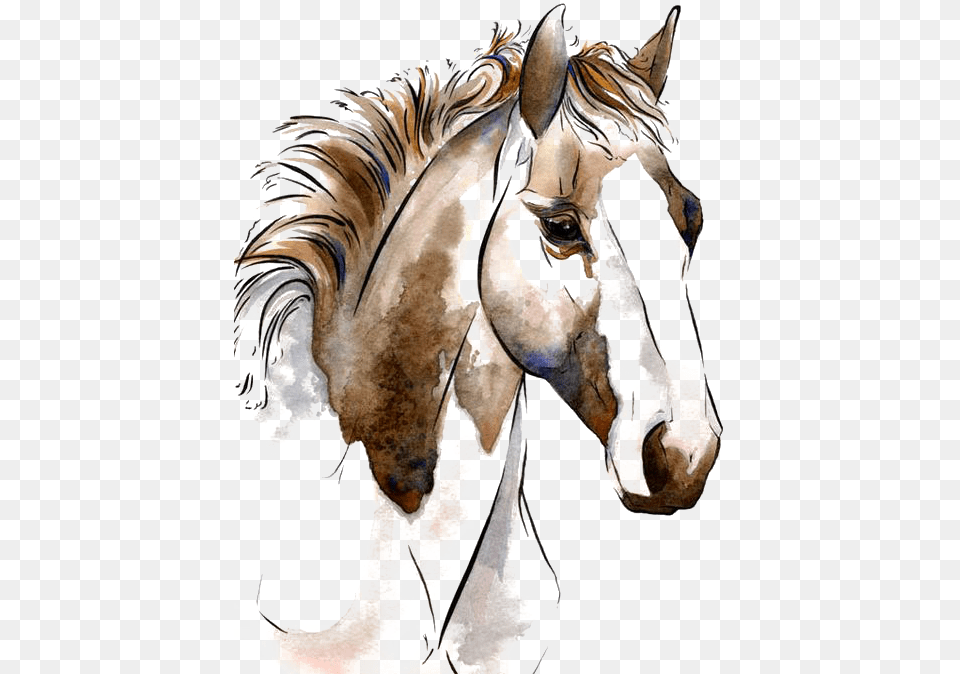 Transparent Hourse Clipart Horse Art, Animal, Mammal, Colt Horse Png Image