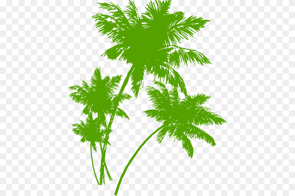 Transparent House For Sale Clipart Coconut Trees Silhouette, Green Png