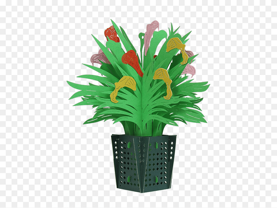 Transparent House Plant Houseplant, Potted Plant, Flower, Pattern Png Image