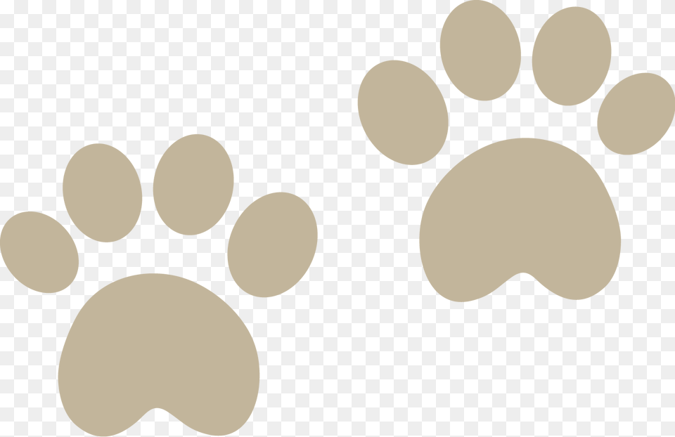 Transparent Huella De Perro Baby Bear Footprints, Home Decor, Head, Person, Face Png Image