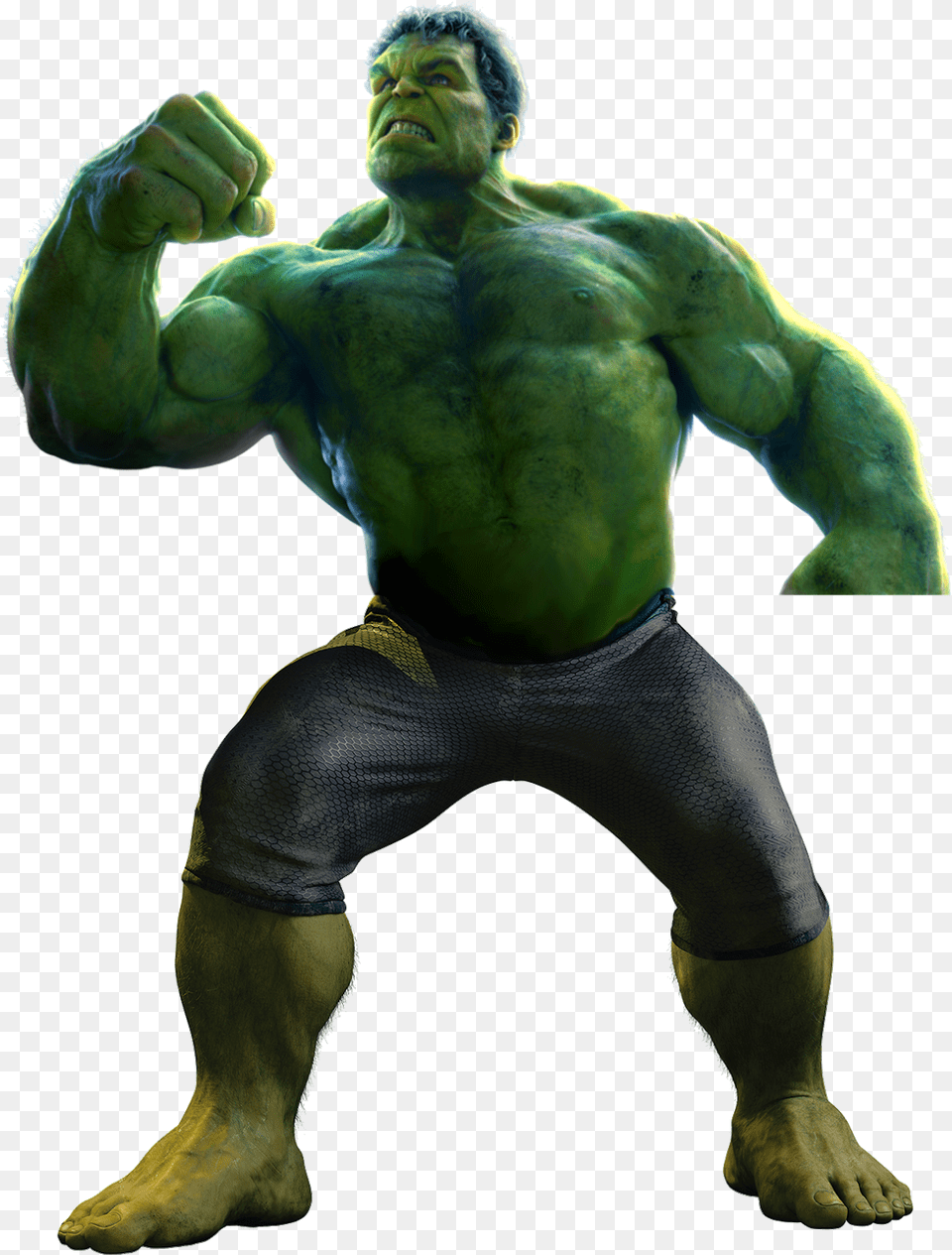 Transparent Hulk, Adult, Man, Male, Person Free Png Download