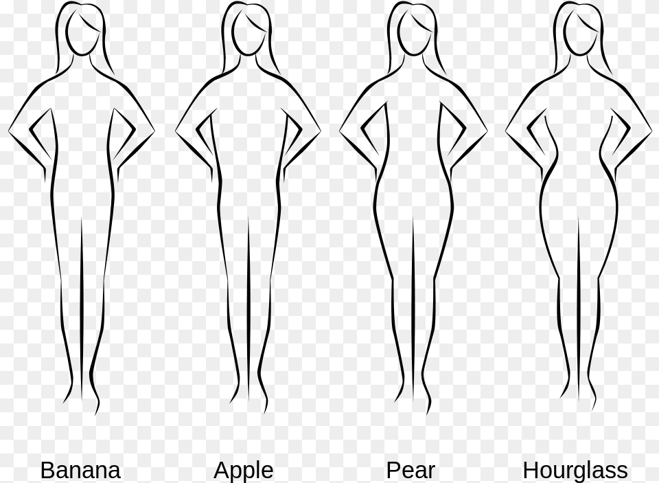 Transparent Human Body Clipart Black And White Body Shapes, Gray Free Png