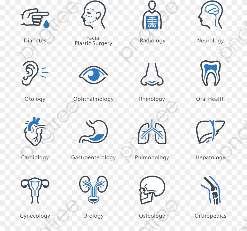 Transparent Human Body Clipart Medical Specialties Icons, Ct Scan, Baby, Person Png Image