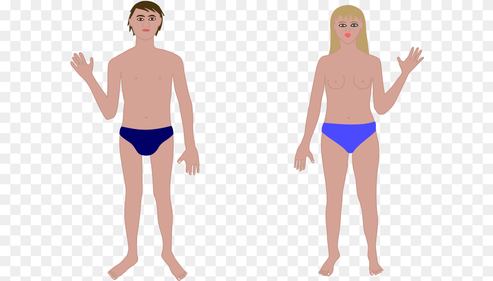 Transparent Human Chest Clipart Human Body Clipart, Clothing, Swimwear, Adult, Female Free Png