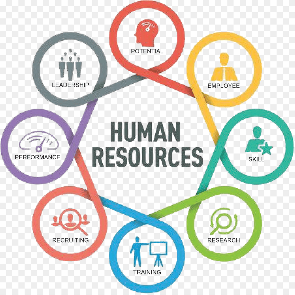 Transparent Human Resources Human Resources, Dynamite, Weapon, Text, Symbol Png Image