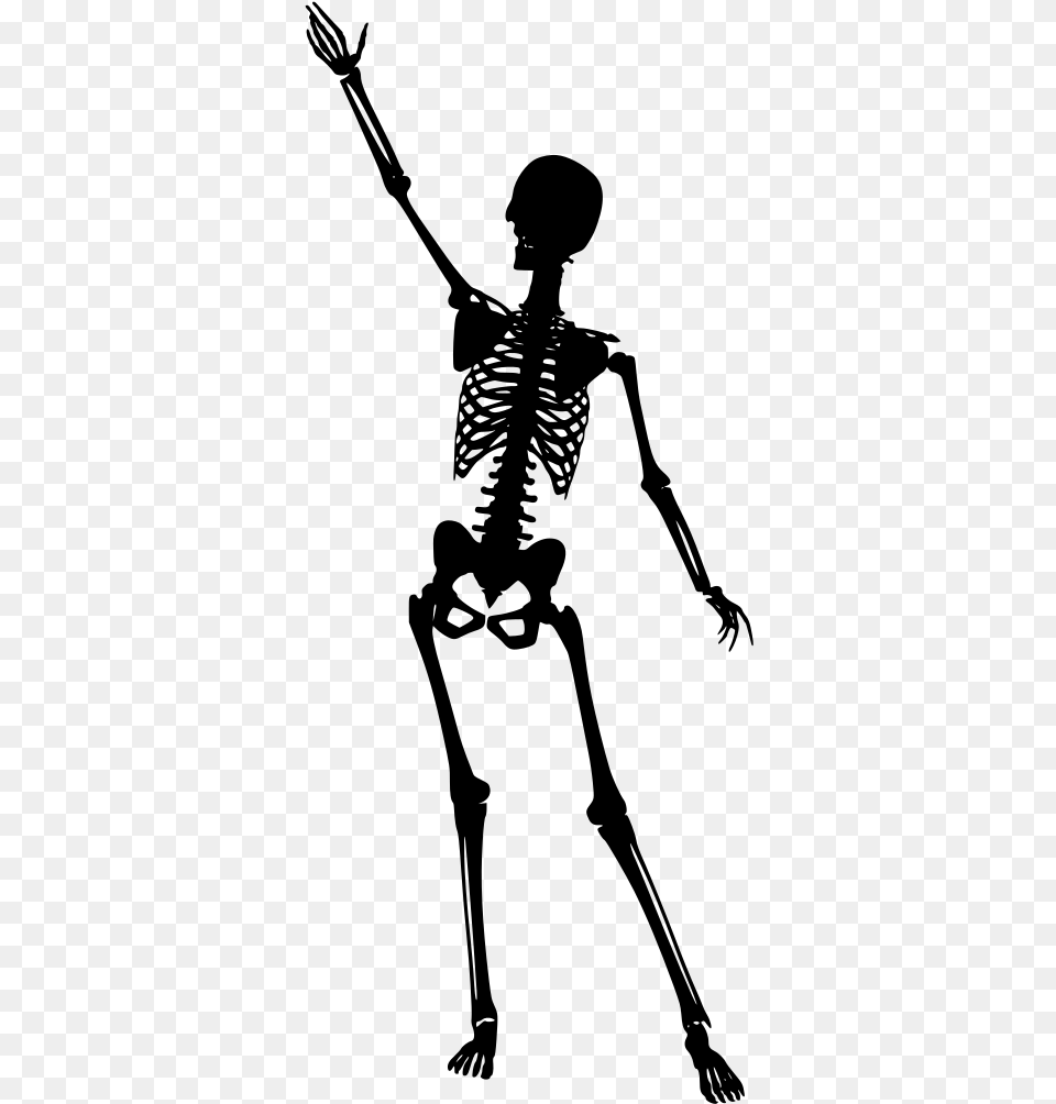 Human Skeleton Portable Network Graphics, Gray Free Transparent Png