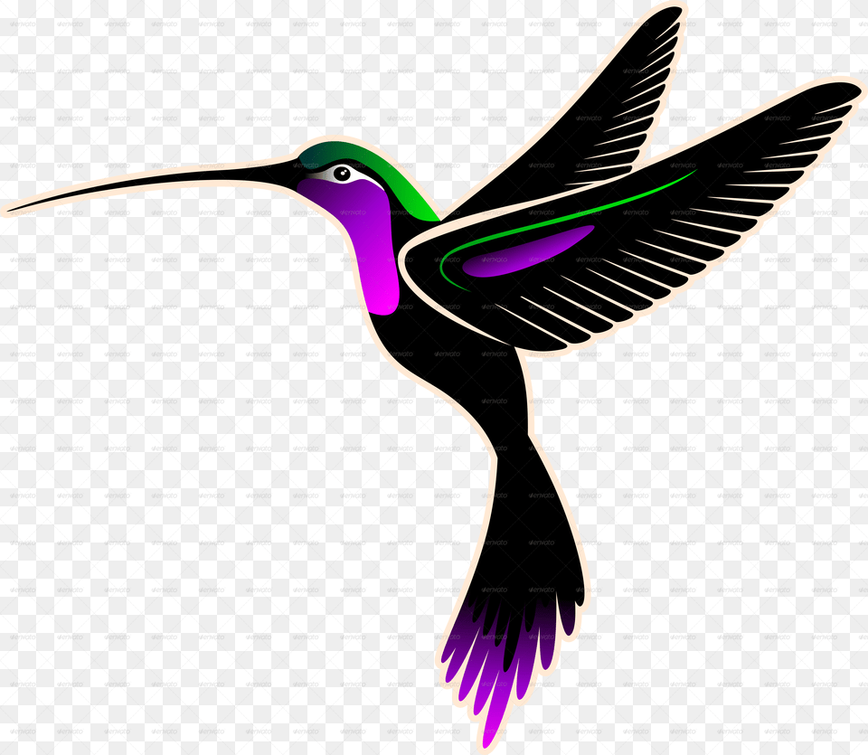 Transparent Hummingbirds Clip Art, Animal, Bird, Hummingbird, Beak Free Png