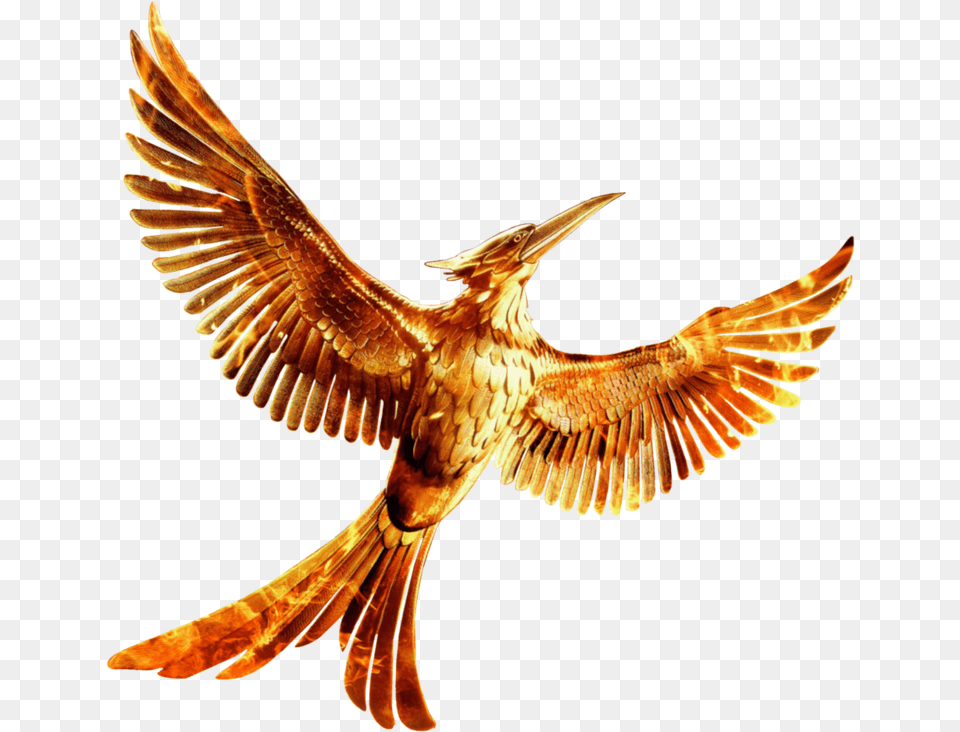 Transparent Hunger Games Logo Hunger Games Mockingjay, Animal, Bird, Flying, Beak Png Image