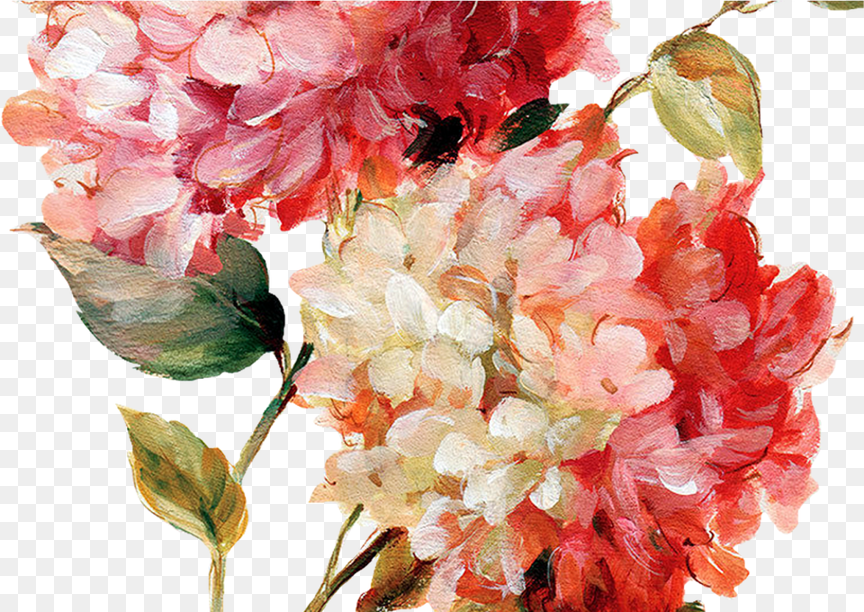 Transparent Hydrangea Clipart Flower Painting, Plant, Art, Petal, Animal Png Image
