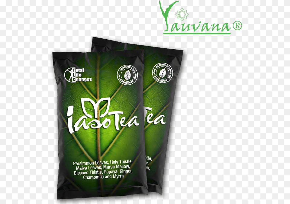 Transparent Iaso Tea Losing Weight Tea, Leaf, Plant, Herbal, Herbs Free Png