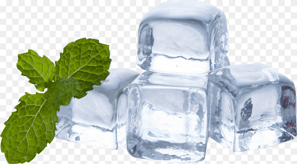 Transparent Ice Cubes Ice Cube, Herbs, Mint, Plant, Tape Png