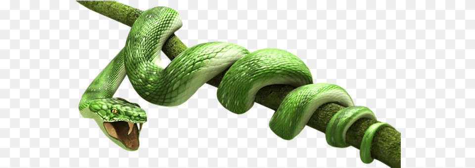 Transparent Icon Favicon Green Snake, Animal, Reptile, Green Snake Png Image