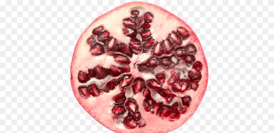 Image Pomegranate, Food, Fruit, Plant, Produce Free Transparent Png