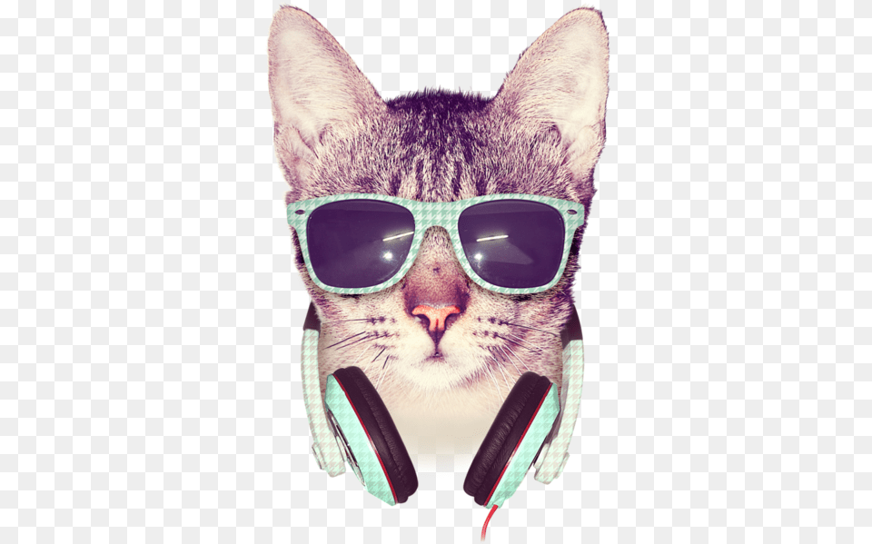 Transparent Images Pluspng Cat Cat Hipster Cat T Shirt Amp Hoodie, Accessories, Sunglasses, Glasses, Animal Free Png