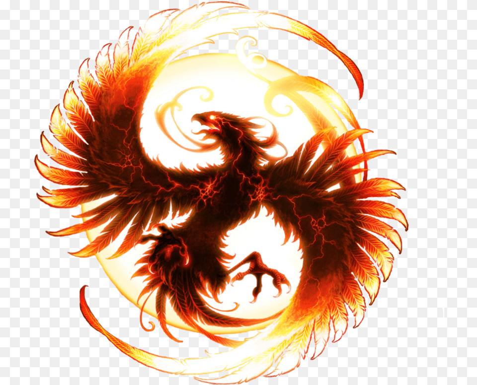 Images Pluspng Phoenix Dragon, Adult, Female, Person Free Transparent Png