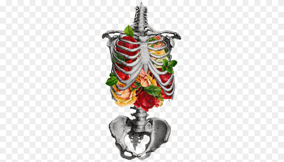 Transparent Inner Beauty Skeleton Chest With Flowers, Graphics, Plant, Flower Bouquet, Flower Arrangement Free Png