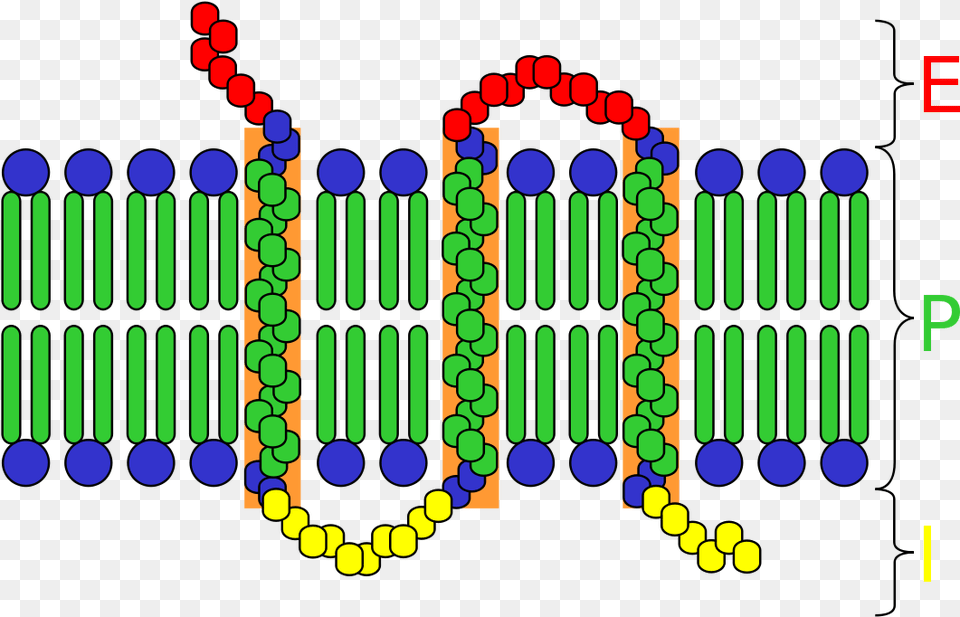 Integral Components Of Cell Surface Receptors, Art, Dynamite, Weapon Free Transparent Png