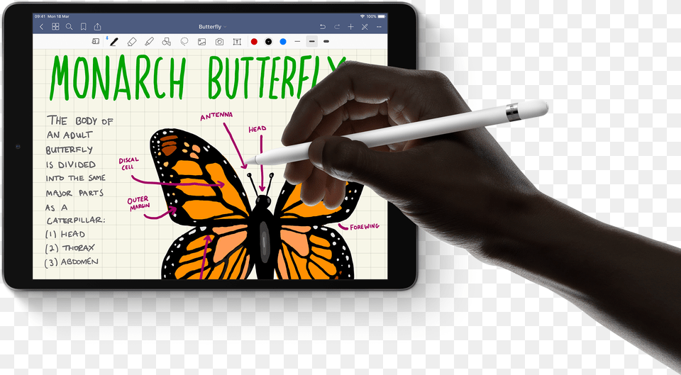 Transparent Ipad Air Apple Pencil Ipad Air 2019, Pen, Computer, Electronics, Adult Png Image