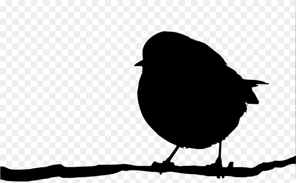 Transparent Isolated Birds Silhouette Robin On A Branch, Gray Png Image