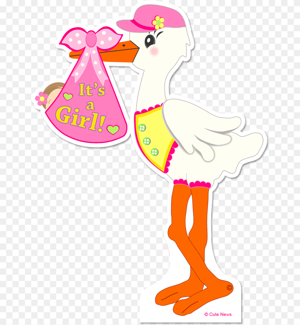Transparent It S A Girl Its A Boy Bird Cartoon, Clothing, Hat, Baby, Person Png