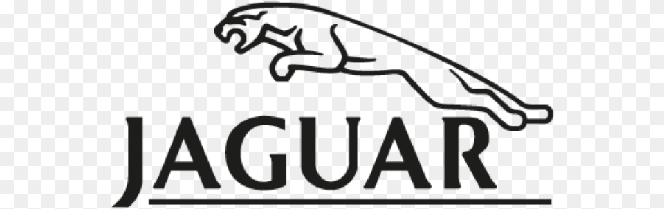 Transparent Jaguar Logo, Animal, Gecko, Lizard, Reptile Png