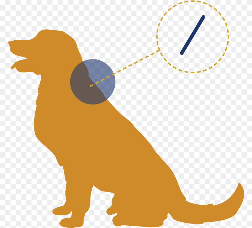 Transparent Jumping Dog, Baby, Person, Animal, Canine Png